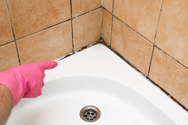 Best Bathroom Mold Remediation in Keyport, NJ